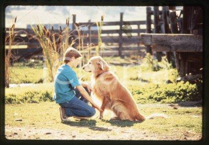Benj THALL & BEN - CINEMA adventure "HOMEWARD BOUND" 1993 * 35mm vintage slide 2