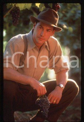 Keanu REEVES Actor - CINEMA "A WALK IN THE CLOUDS" 1995 * 35 mm vintage slide 4