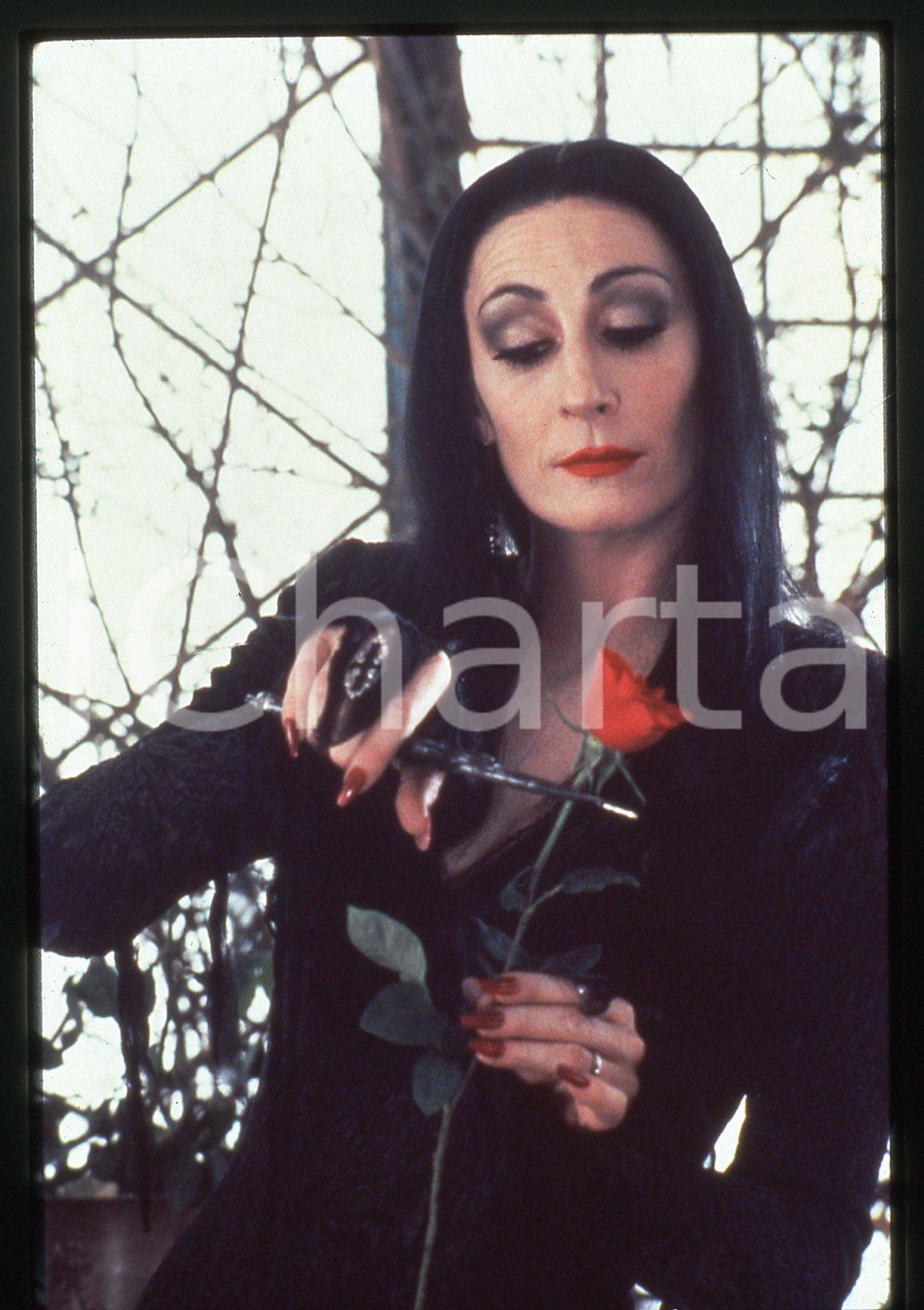 35mm vintage slide* 1991 THE ADDAMS FAMILY Anjelica HUSTON - Morticia Addams