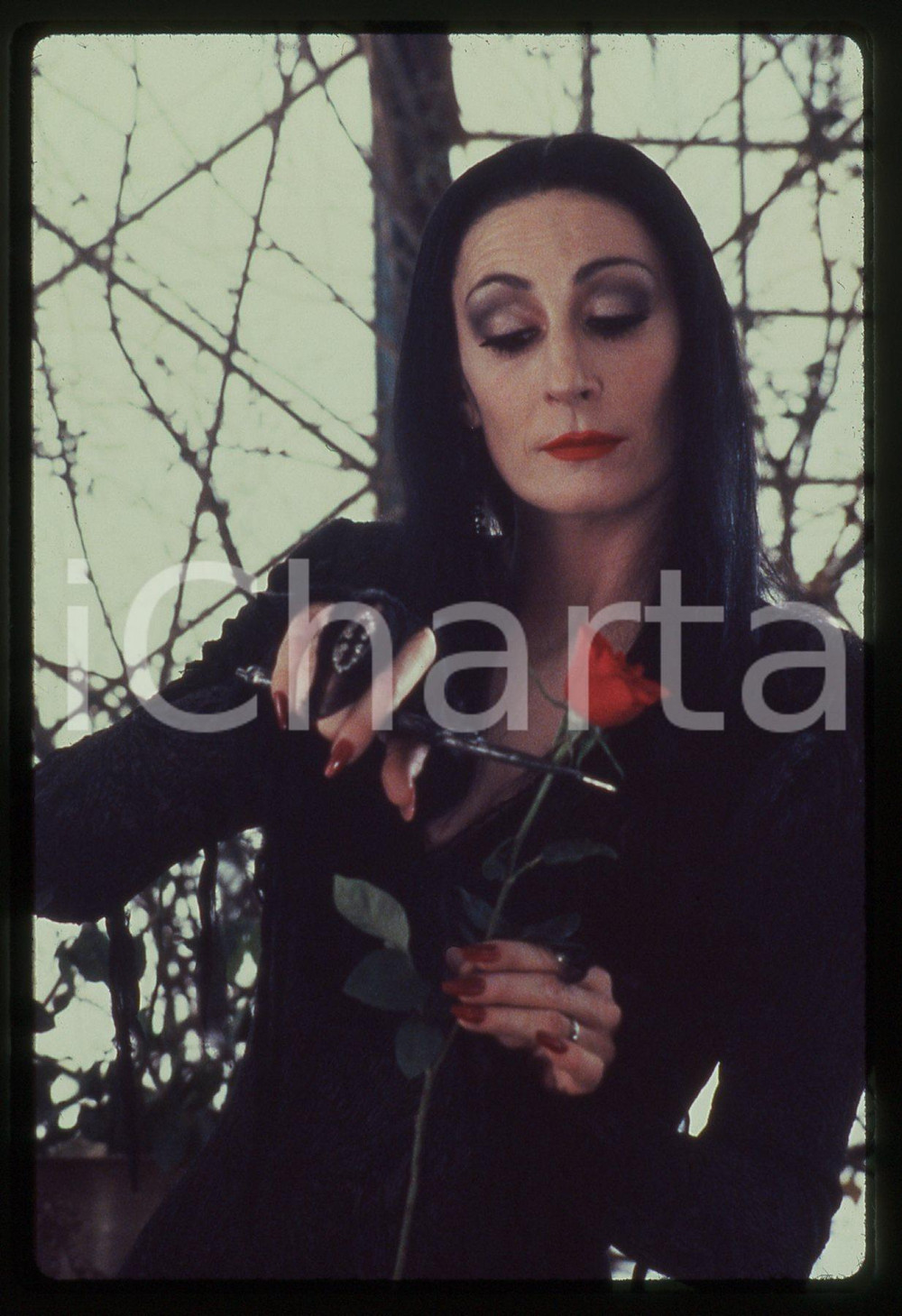 35mm vintage slide* 1991 THE ADDAMS FAMILY Anjelica HUSTON Morticia Addams *2