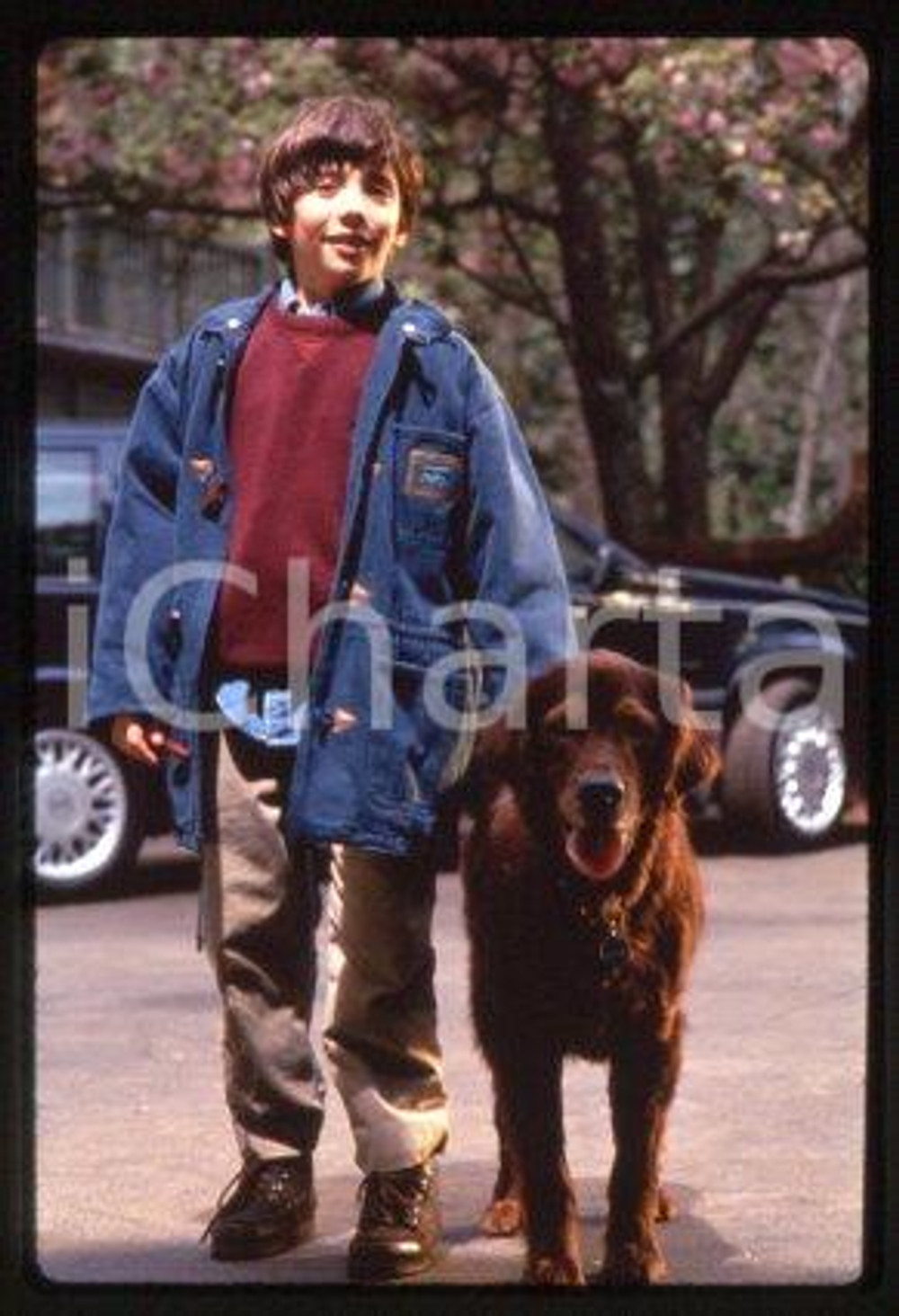 Max POMERANC - CINEMA "Fluke" Actor 1995 * 35 mm vintage slide 2