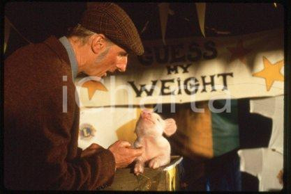 James CROMWELL Christine CAVANAUGH - CINEMA "Babe" 1995 * 35 mm vintage slide 1