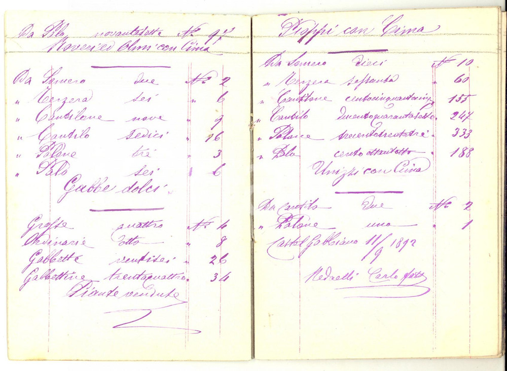 Documento originale, autentico 18851909 TREZZOLASCO Quaderno scarico piante terre conte Alfonso SANSEVERINO 1