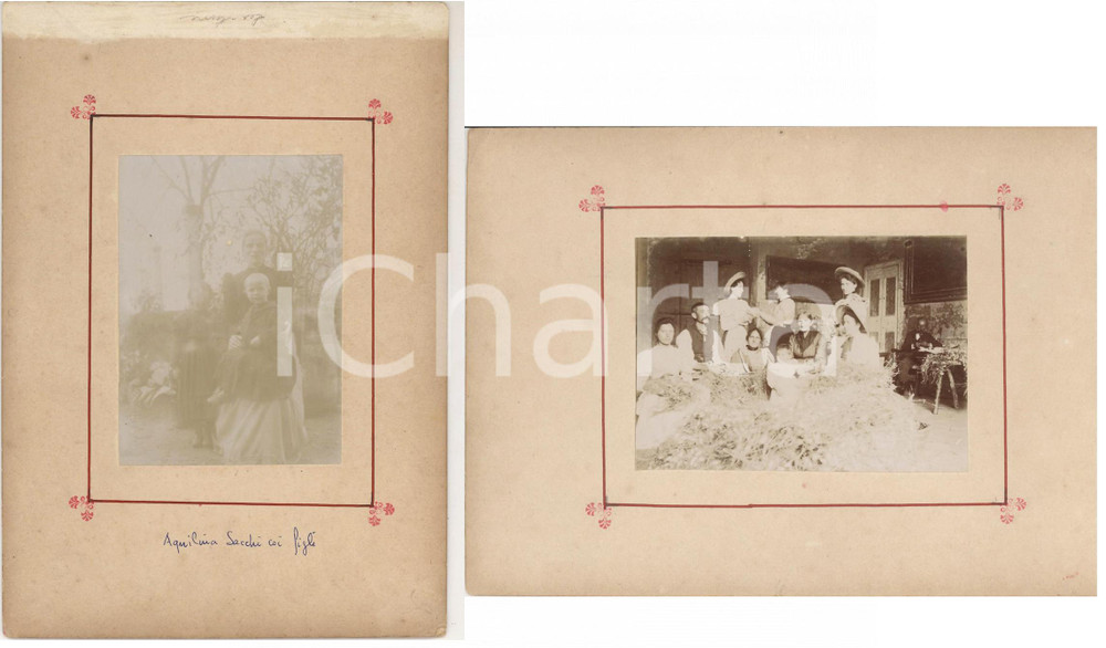 1898 TRIVOLZIO Famiglia al lavoro con bachi da seta - Aquilina SACCHI *2 foto