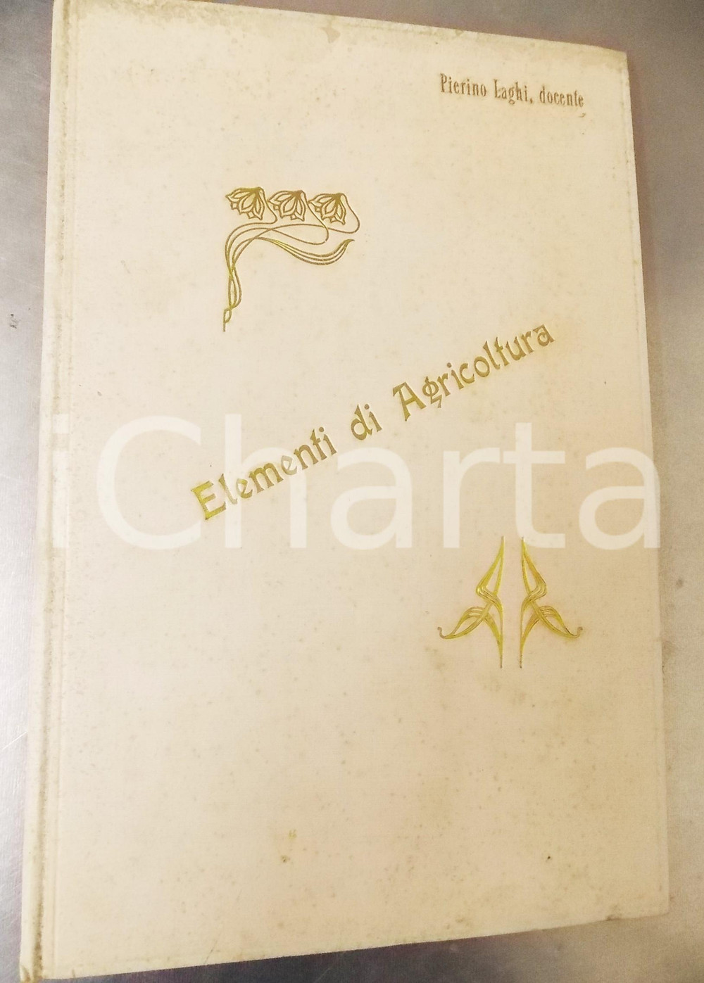 Libro, pubblicazione d epoca 1896 MASSAGNO Pierino LAGHI Elementi di agricoltura  AUTOGRAFO 32 pp. 1