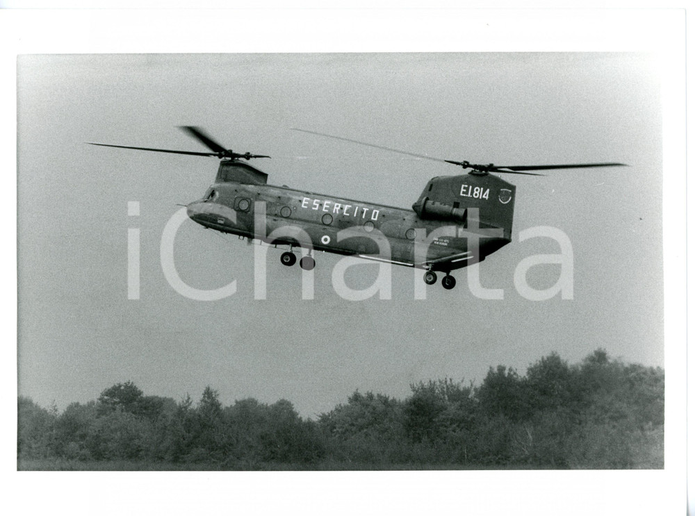 1990 ca ESERCITO ITALIANO Boeing CH-47 CHINOOK in fase di decollo *Foto 24x18