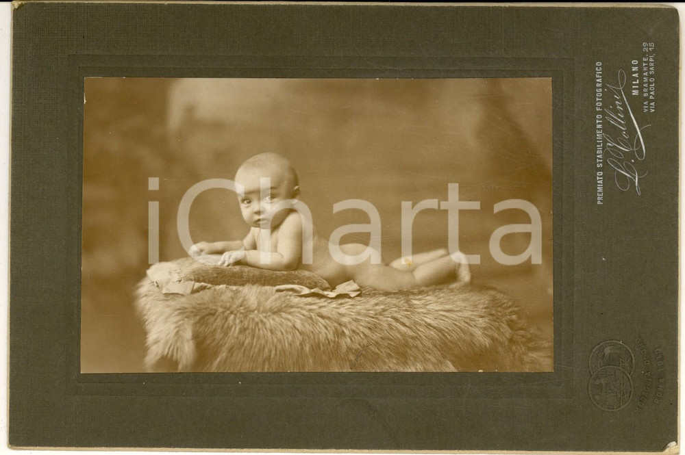 1910 ca MILANO Ritratto di bambino su pellicciotto *Foto L. TOLLINI 20x13 cm