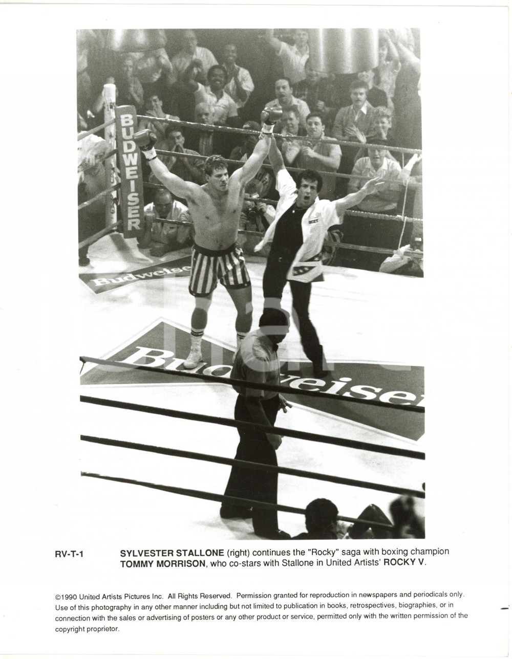 1990 CINEMA "Rocky V" Tommy MORRISON Sylvester STALLONE sul ring (2) Foto 20x25