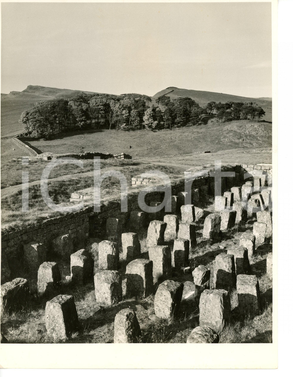 1960 CARLISLE Forte romano di Housesteads - Rovine del granaio *Foto 16x21 cm