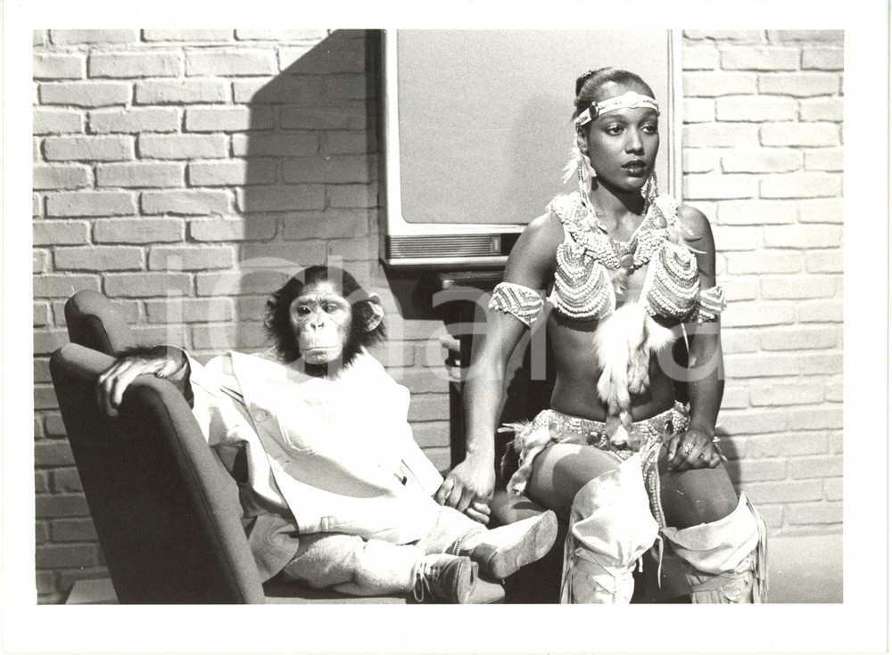 1985 RAI DUE "Il Tastomatto" - Amii STEWART con la scimmietta LOLA *Foto 24x18
