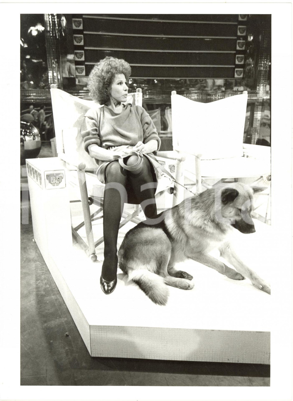 Fotografia d epoca originale 1983 RAI UNO Test  Ornella VANONI con ARMADUK cane di Ambrogio FOGAR Foto 1