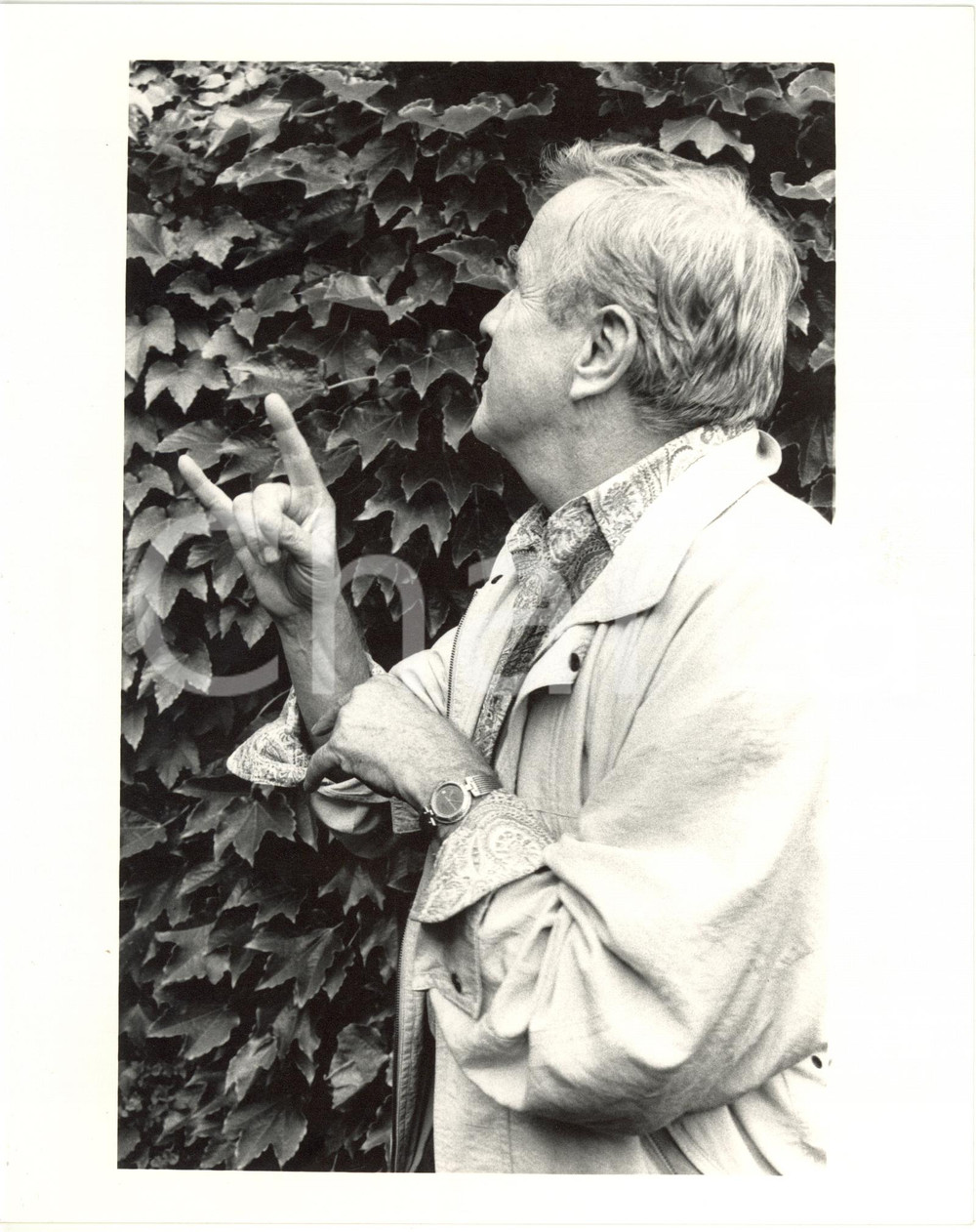 1988 VENEZIA - MOSTRA DEL CINEMA Franco ZEFFIRELLI Ritratto curioso *Foto 20x25