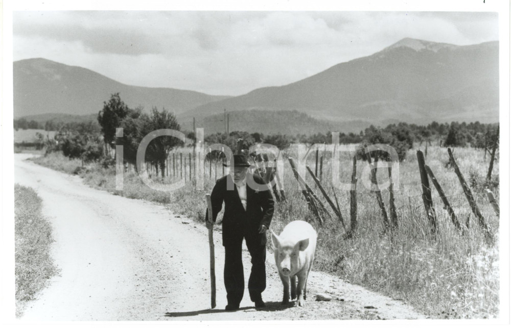 Fotografia d epoca originale 1988 CINEMA The Milagro Beanfield War  Carlos RIQUELME as Amarante Cordova 1
