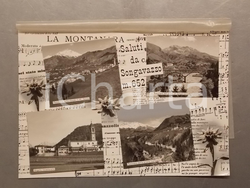 1960 ca SONGAVAZZO Vedutine con Pineta Valleggia - Bozzetto per cartolina 37x26 Bozzetto preparatorio per cartolina postale.Collage di fotografie su cartoncino morbido, con velina di protezione. CONDIZIONI: FAIR (fotografie sovrapposte ad altre; annotazioni al verso; macchia alla velina) FORMATO: 37x26 cm    originale e autentica 1