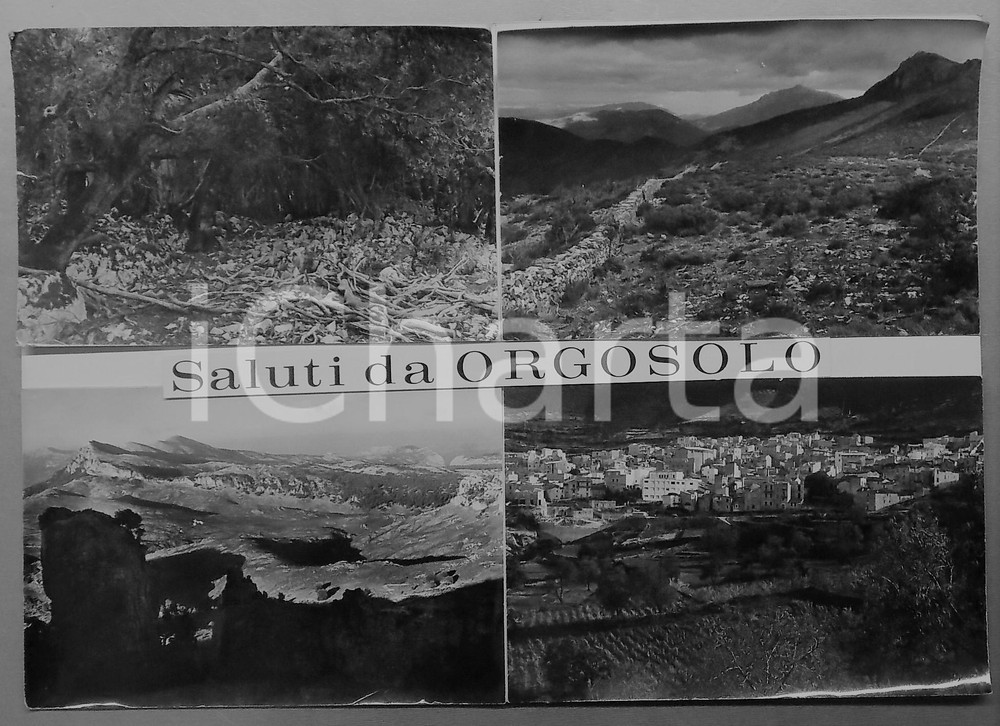 1960 ca ORGOSOLO (NU) Panorami *Bozzetto preparatorio per cartolina 48x33 cm