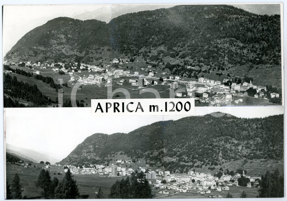 1960 ca APRICA (SO) Veduta panoramica *Bozzetto preparatorio per cartolina 26x18