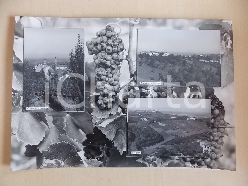 1960 ca BAROLO Panorama con vigneti *Bozzetto preparatorio per cartolina 39x47