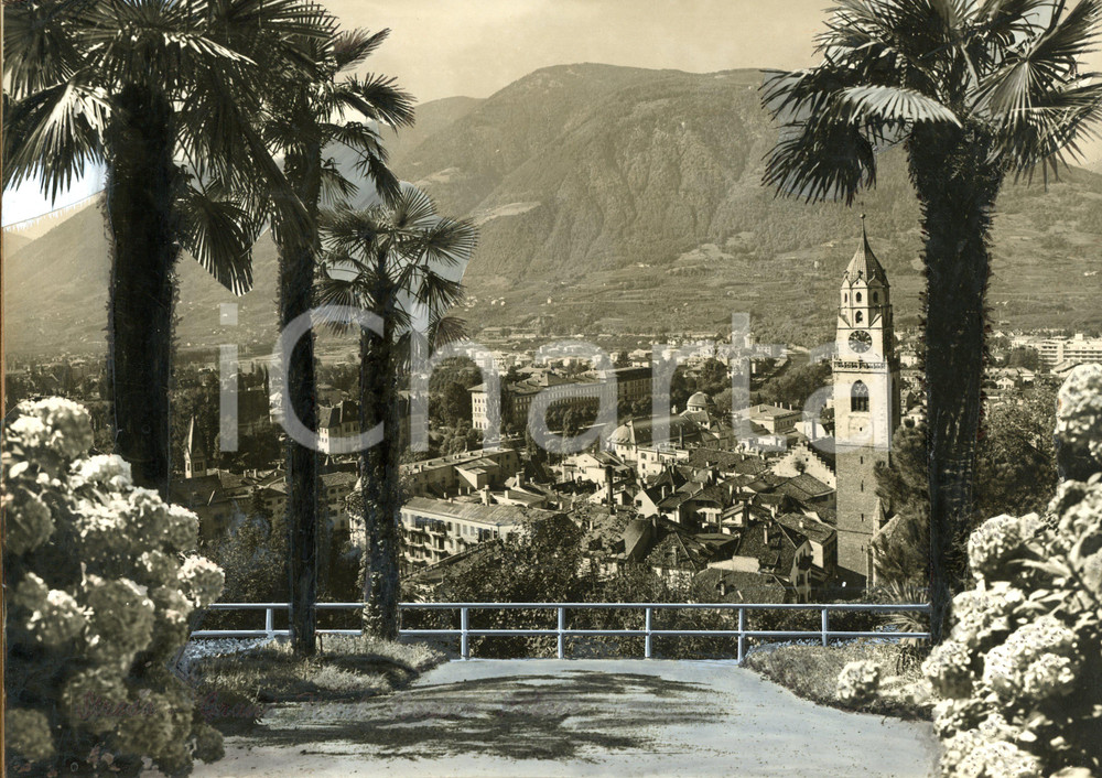 1960 ca MERANO (BZ) Scorcio tra le palme *Bozzetto per cartolina 30x24 cm
