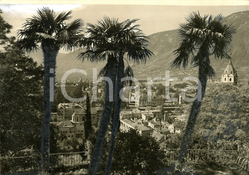 1960 ca MERANO (BZ) Scorcio tra le palme - Bozzetto per cartolina 30x24 cm