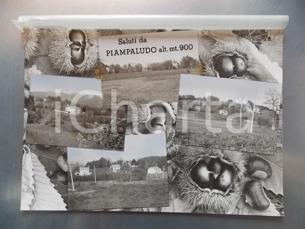 1960 ca SASSELLO - PIAMPALUDO (SV) Panorama *Bozzetto per cartolina 40x28 cm