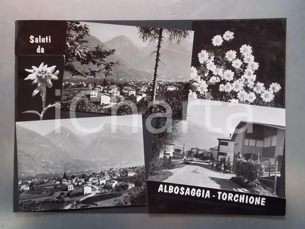 1960 ca ALBOSAGGIA - TORCHIONE (SO) Panorama *Bozzetto per cartolina 32x23 cm