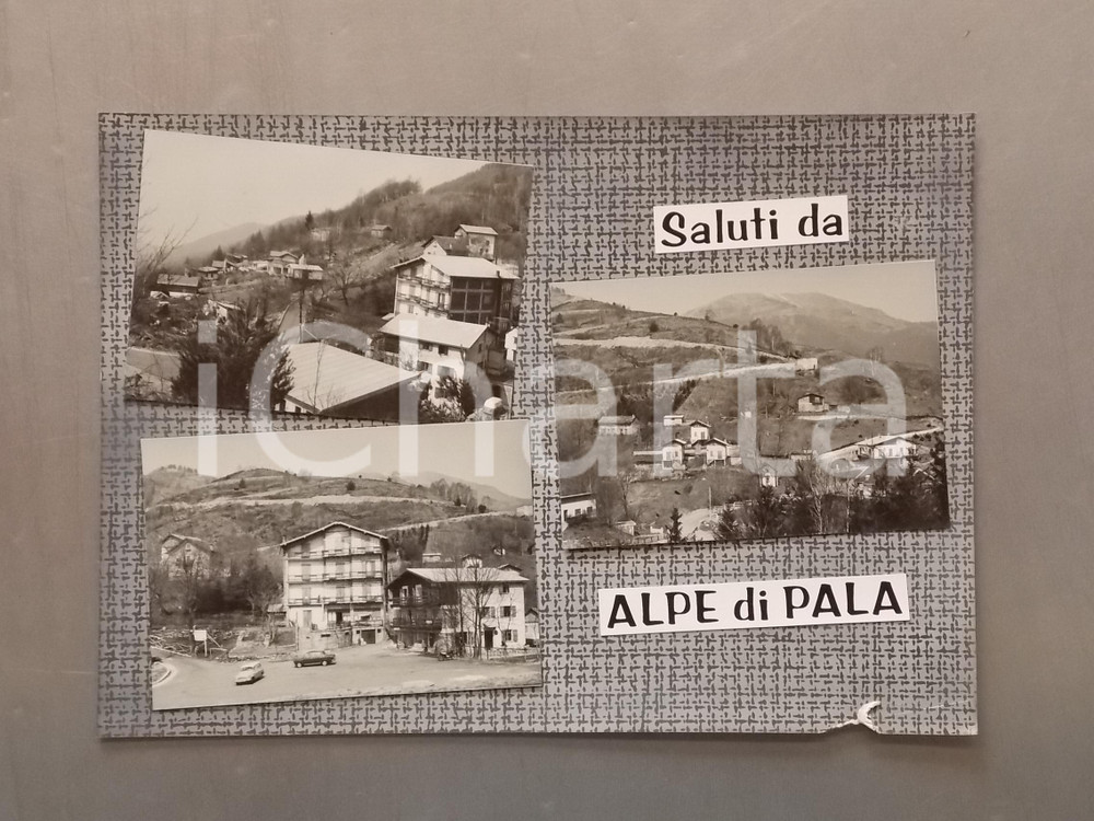 1960 ca MIAZZINA - ALPE PALA (VB) Panorama *Bozzetto per cartolina 35x24 cm