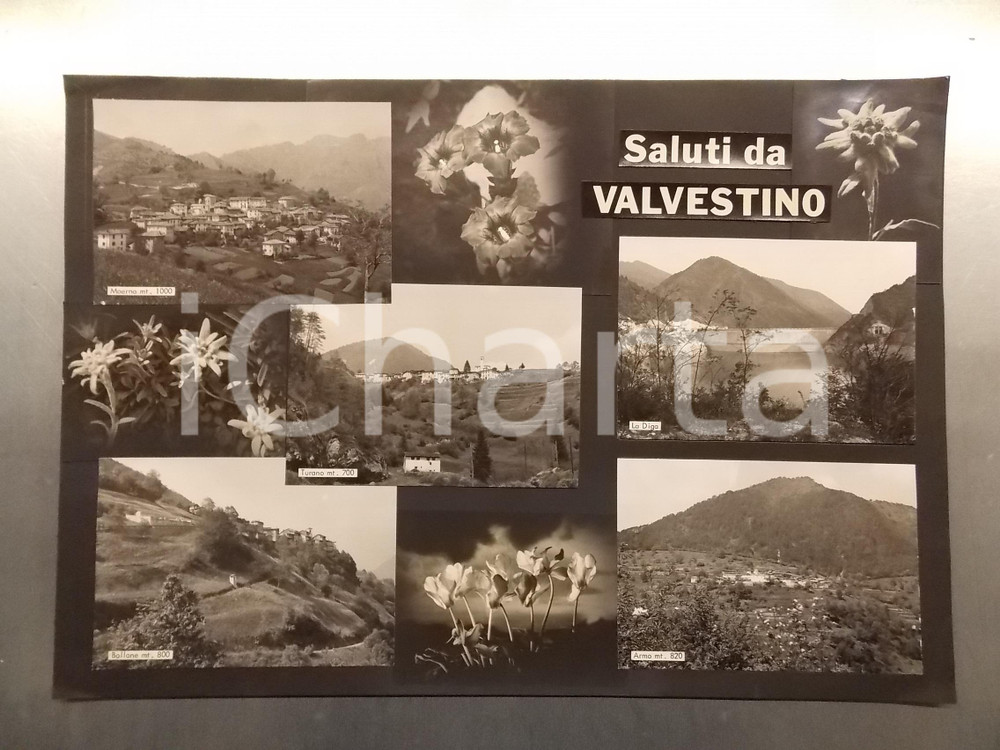 1960 ca VALVESTINO (BR) Moerna - Turano - Armo *Bozzetto per cartolina 45x30