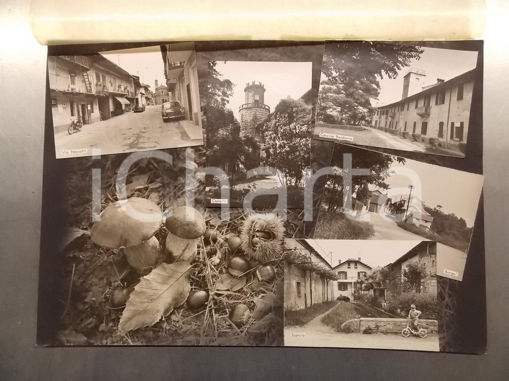1960 ca RIVAROSSA (TO) Scorcio di Cascina BANDONIO *Bozzetto per cartolina 40x29