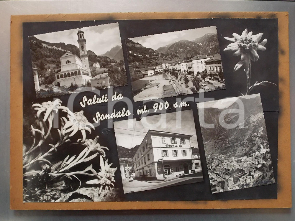 1960 ca SONDALO (SO) Albergo DELLE ALPI *Bozzetto per cartolina 40x30 cm Bozzetto preparatorio per cartolina postale.Collage su cartoncino rigido.  CONDIZIONI: FAIR (fotografie ritoccate manualmente; lievi residui di colla) FORMATO: 40x30 cm    originale e autentica 1