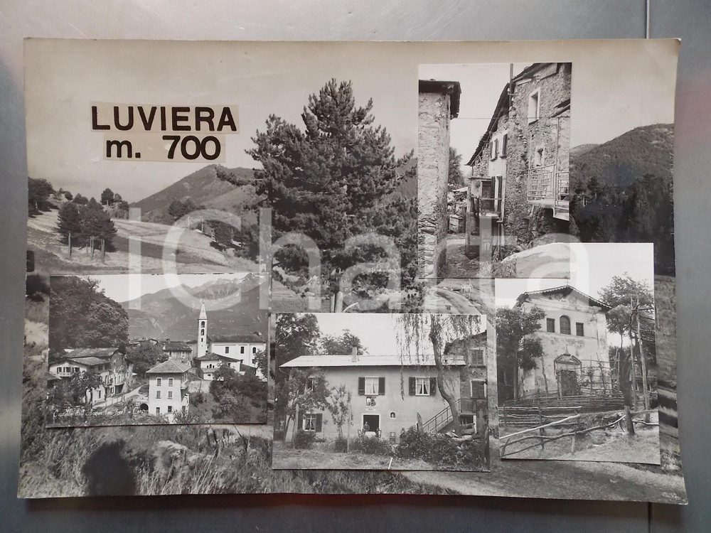 1960 ca CASTELLO DELL'ACQUA - LUVIERA (SO) *Bozzetto per cartolina 45x30 cm Bozzetto preparatorio per cartolina postale.Collage su cartoncino morbido.  CONDIZIONI: FAIR (residui di colla; annotazioni a pennarello al verso) FORMATO: 45x30 cm    originale e autentica 1