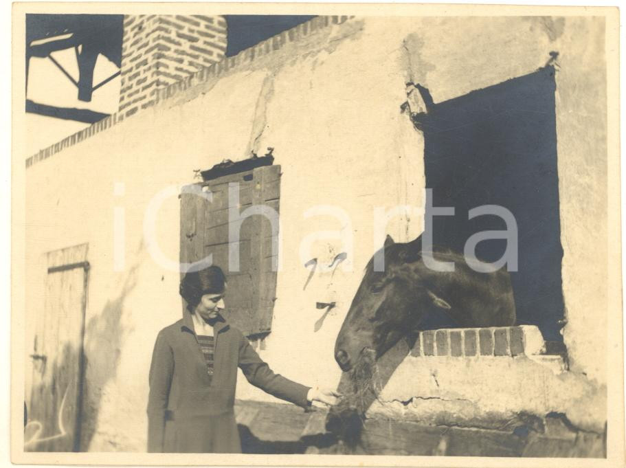 Fotografia d epoca originale 1926 CORSICO MI Donna con un cavallo in una cascina 4  Foto 11x8 cm 1