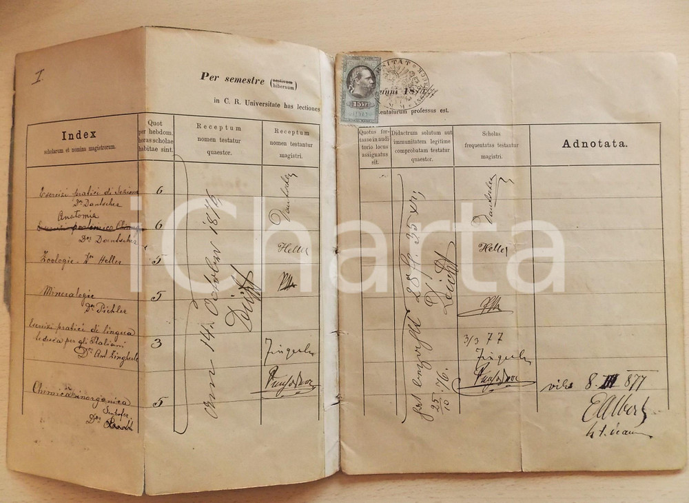1876-1882 Medizinische Universität INNSBRUCK / WIEN Registro lezioni CASNA *RARO Raro e interessante registro delle lezioni, appartenuto a Giovanni Casna di Rabbi (TN), che aveva seguito corsi della facolt&agrave; di medicina a Innsbruck e Vienna.Il registro &egrave; articolato per semestri, con indicazione degli insegnamenti e le firme autografe dei docenti.Tra i docenti che firmano vi sono: Camill Heller,  Anton Kerner, Dantscher, Vintschgau, Adalbert Duchek, Ernst Wilhelm Br&uuml;cke, Ernst Sp&auml;th e Hans Chiari. Timbri e marche da bollo. CONDIZIONI: POOR (piegatura verticale d'epoca; gualciture e alcuni strappi; mancanza alla copertina cartacea)FORMATO: 21x25 cmPAGINE: 28   originale e autentica 1