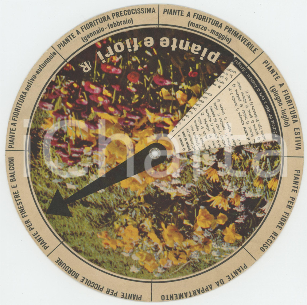 Materiale pubblicitario d’epoca 1970 ca LA RINASCENTE  Disco pubblicitario coltivazione piante e fiori 1