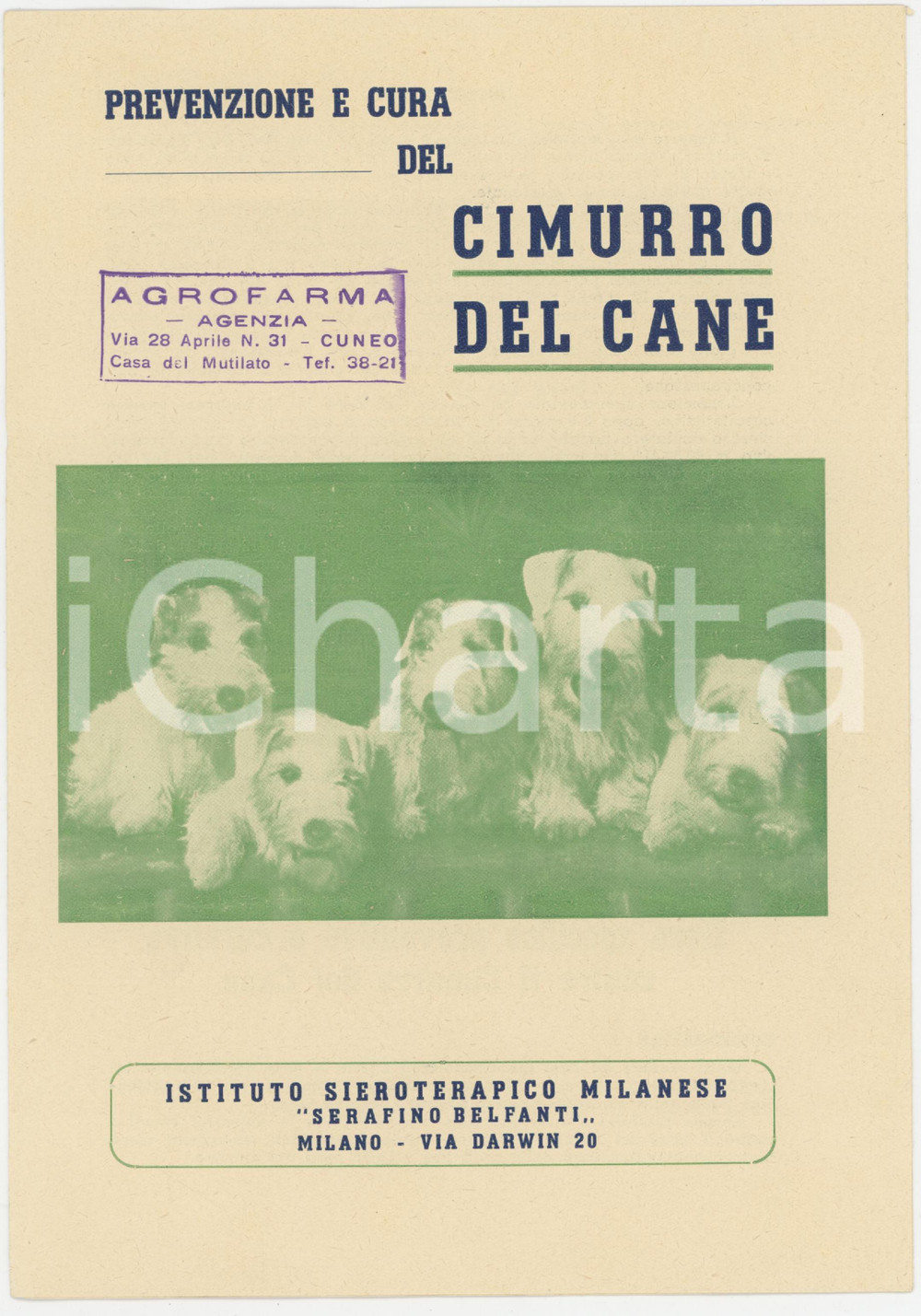 1950 ca MILANO Istituto Sieroterapico BELFANTI - Cimurro del cane *Pieghevole