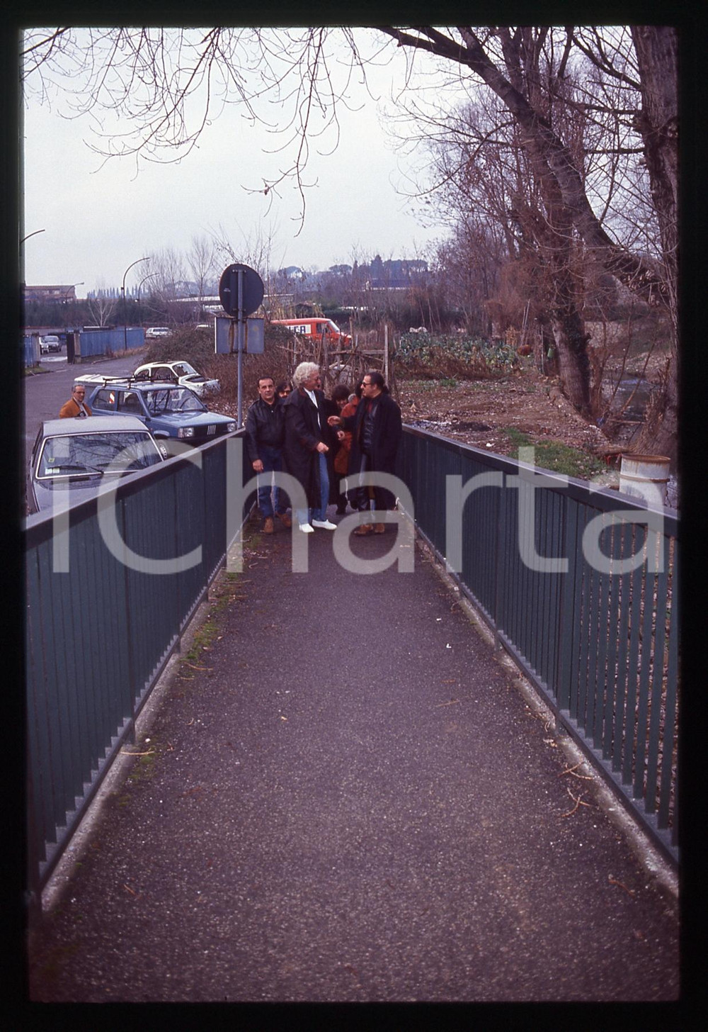 35mm vintage slide* 1993 FIRENZE Maurizio VANDELLI CAMALEONTI DIK DIK (33)
