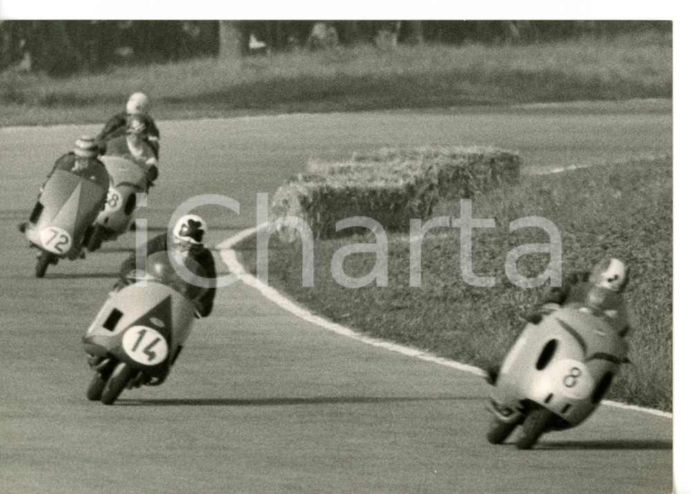 1955 MONZA - GP DELLE NAZIONI Umberto MASETTI guida il gruppo degli inseguitori