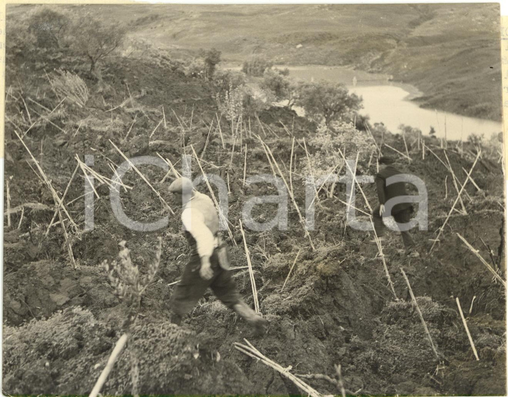 1959 POLIZZI GENEROSA (PA) - Frana crea lago artificiale nel fiume IMERA *Foto