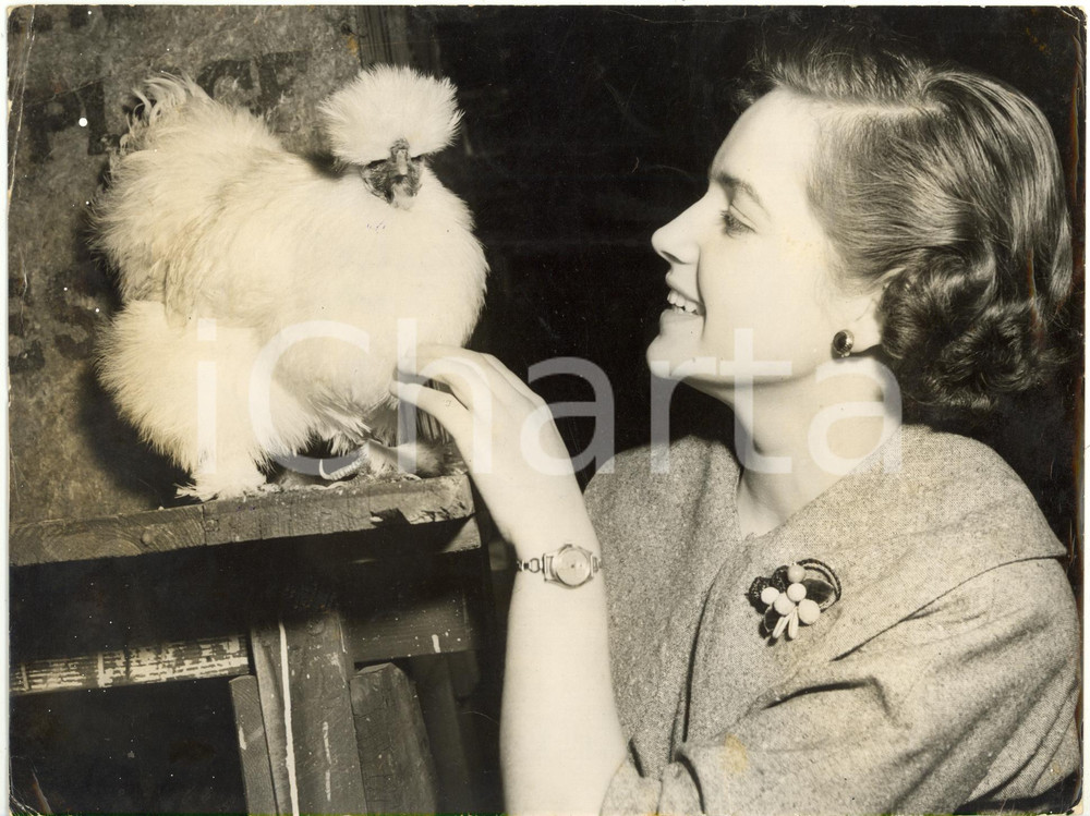 1950 ca UNITED KINGDOM - Miss Beryl WASTELL with a white Silkie Chicken *Photo