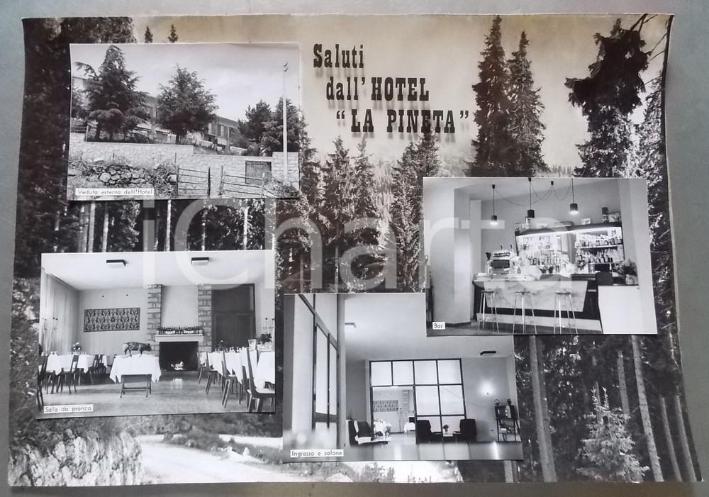 1960ca PATTADA (SS) Hotel "La Pineta" *Bozzetto preparatorio per cartolina 43x30