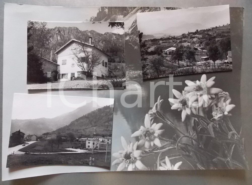 1960ca FELTRE Frazione LAMEN Vedutine *Bozzetto preparatorio per cartolina 38x27