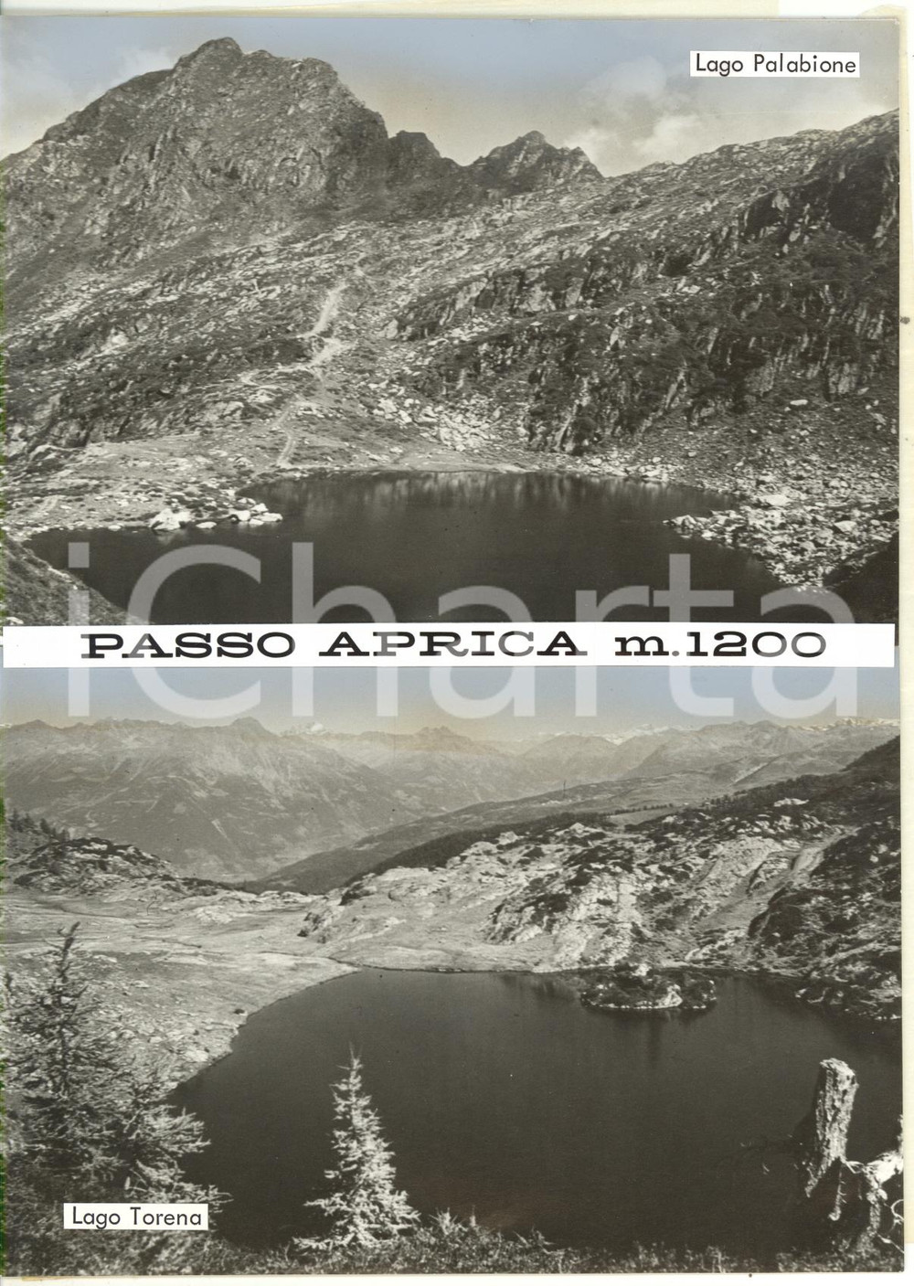 1965 ca PASSO APRICA Lago Palabione - Lago Torena *Bozzetto per cartolina 15x21