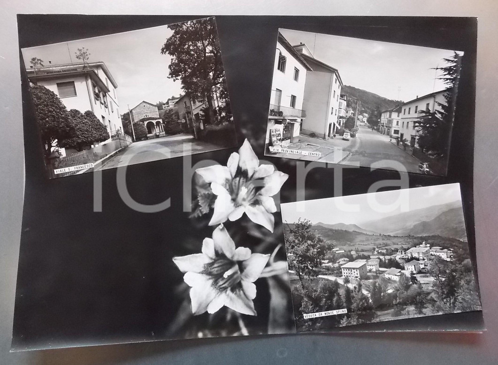 1965 ca PALAGANO - Oratorio Madonna del Carmine *Bozzetto per cartolina 36x25 cm