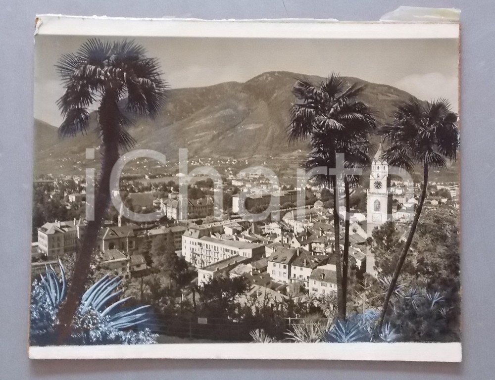 1965 ca. MERANO Campanile chiesa di San Nicolò *Bozzetto per cartolina 30x24