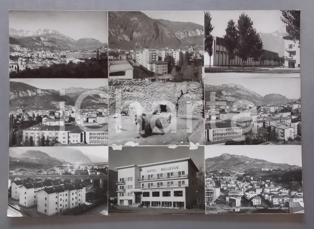 1965 ca TRENTO Vedute della città - Hotel Bellevue *Bozzetto cartolina 45x32