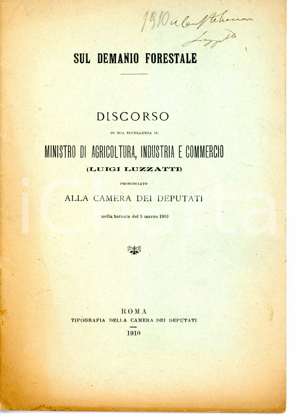 1910 Luigi LUZZATTI Sul demanio forestale - Discorso *Pubblicazione AUTOGRAFO Pubblicazione d'epoca, con invio autografo.Titolo: "Sul demanio forestale / Discorso di sua eccellenza Ministro di Agricoltura, Industria e Commercio (Luigi Luzzatti) pronunciato alla Camera dei Deputatinella tornata del 9 marzo 1910" CONDIZIONI: FAIR (aloni ai margini della copertina)PAGINE: 40FORMATO: 15x21 cm     originale e autentica 1