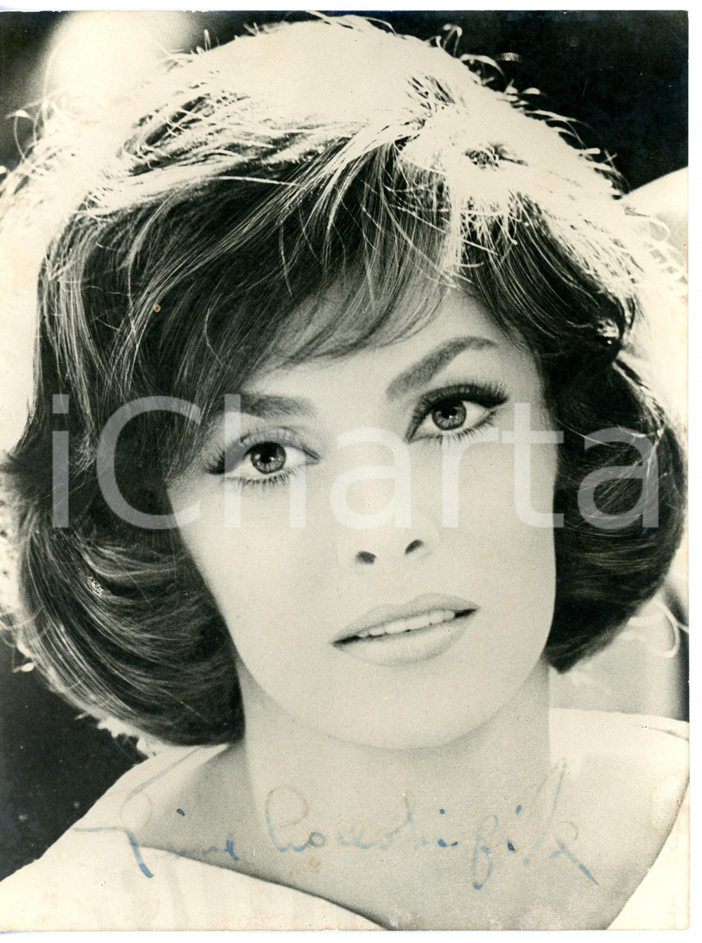 1950 ca CINEMA Attrice Gina LOLLOBRIGIDA - Foto seriale con AUTOGRAFO 18x24 cm