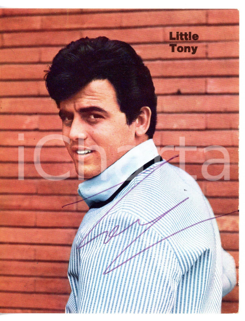 1965 ca MUSICA Ritratto di LITTLE TONY *Foto seriale con AUTOGRAFO - 10x13 cm