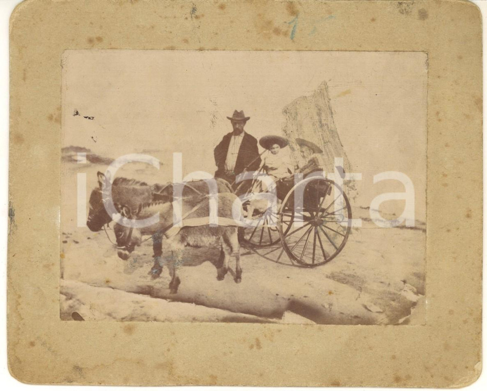 1891 ANZIO Luigi e Giuseppe SACCO bambini su calesse con asinelli - Foto 15x12