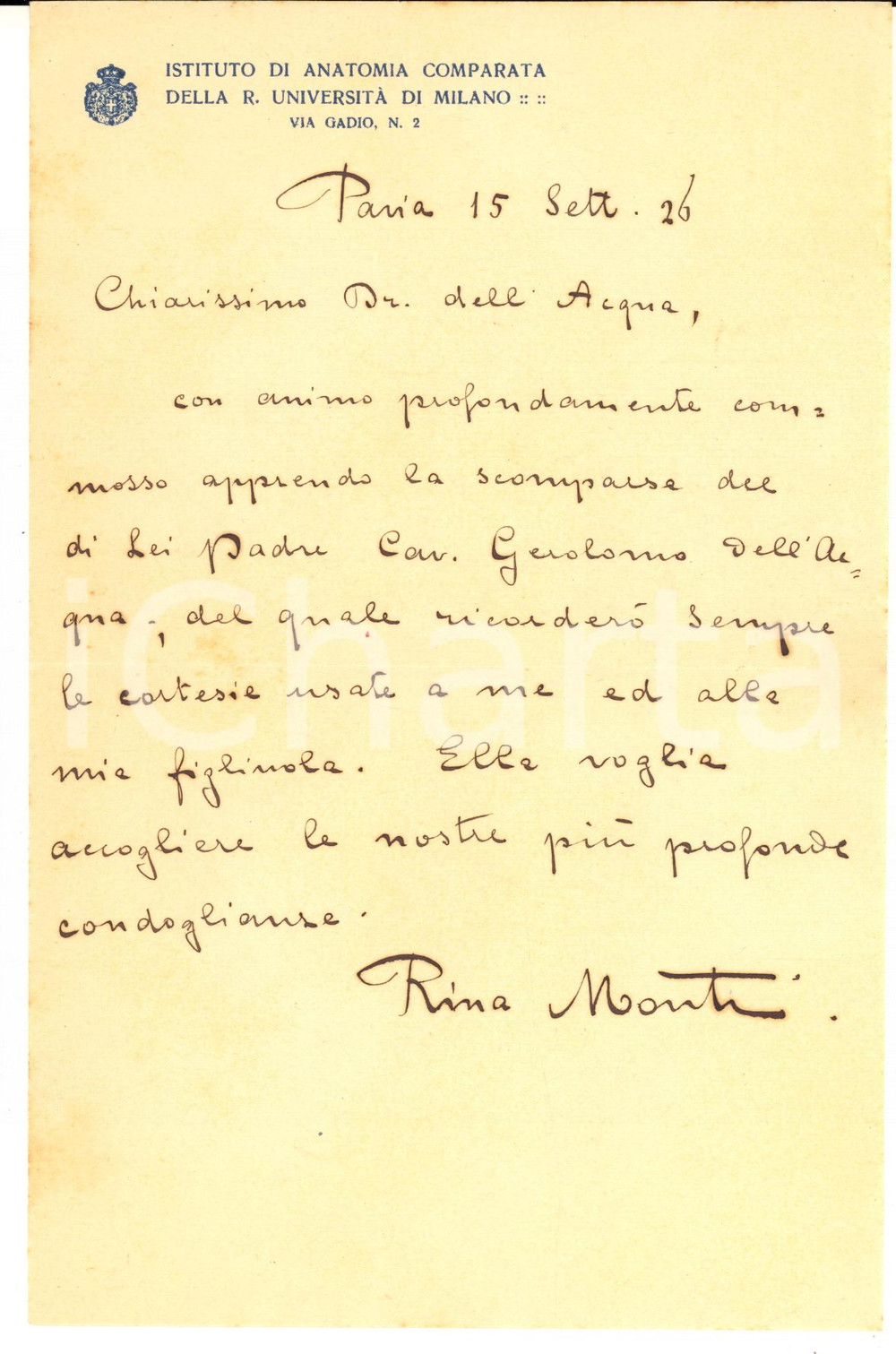 1926 PAVIA Lettera Rina MONTI per condoglianze a un collega - AUTOGRAFO Lettera interamente autografa, su carta intestata "Istituto di Anatomia Comparata della R. Universit&agrave; di Milano".CONDIZIONI: G (ma piegature d'epoca)PAGINE: 4 (1 scritta)    originale e autentica 1