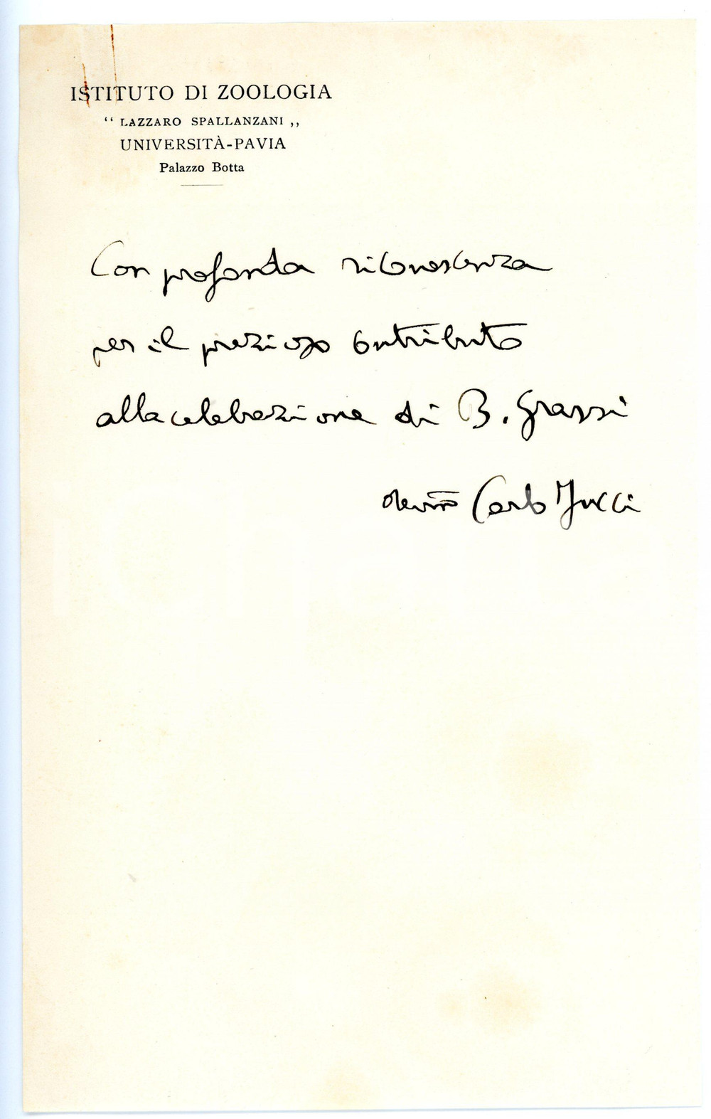Autografo originale 1954 UNIVERSITÃ€ PAVIA Biologo Carlo JUCCI  Celebrazioni G. B. GRASSI AUTOGRAFO 1